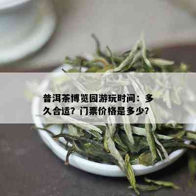 普洱茶博览园游玩时间：多久合适？门票价格是多少？