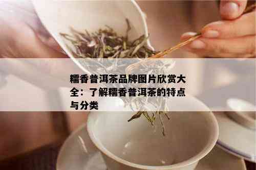 糯香普洱茶品牌图片欣赏大全：了解糯香普洱茶的特点与分类