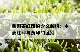 普洱茶红印的含义解析：中茶红印与黄印的区别