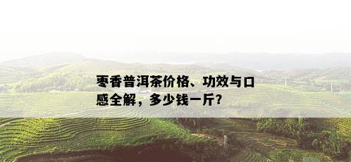 枣香普洱茶价格、功效与口感全解，多少钱一斤？