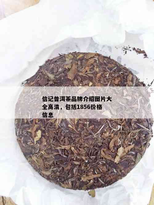 信记普洱茶品牌介绍图片大全高清，包括1856价格信息