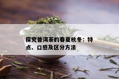 探究普洱茶的春夏秋冬：特点、口感及区分方法