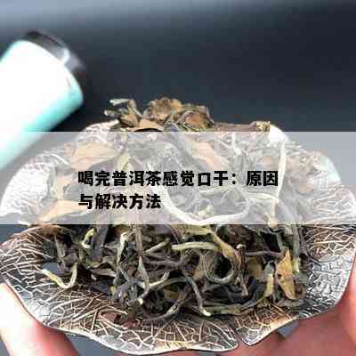 喝完普洱茶感觉口干：原因与解决方法