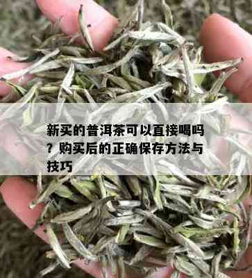 新买的普洱茶可以直接喝吗？购买后的正确保存方法与技巧