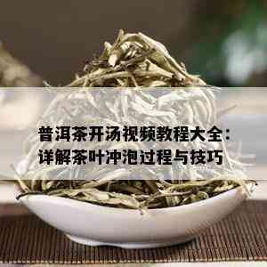 普洱茶开汤视频教程大全：详解茶叶冲泡过程与技巧