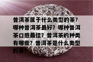 普洱茶属于什么类型的茶？哪种普洱茶更好？哪种普洱茶口感更佳？普洱茶的种类有哪些？普洱茶是什么类型的茶？