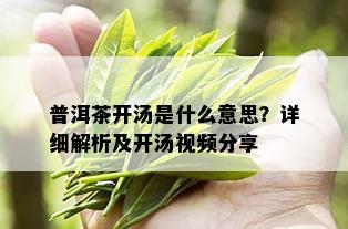 普洱茶开汤是什么意思？详细解析及开汤视频分享