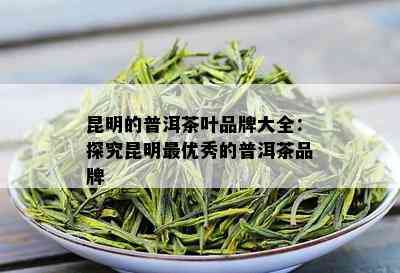 昆明的普洱茶叶品牌大全：探究昆明更优秀的普洱茶品牌