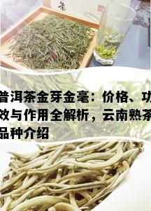 普洱茶金芽金毫：价格、功效与作用全解析，云南熟茶品种介绍