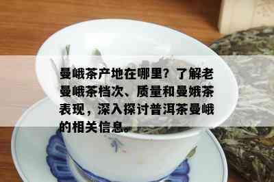 曼峨茶产地在哪里？了解老曼峨茶档次、质量和曼娥茶表现，深入探讨普洱茶曼峨的相关信息。