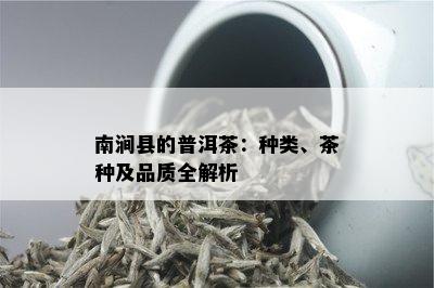 南涧县的普洱茶：种类、茶种及品质全解析