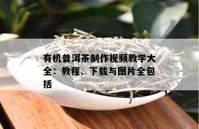 有机普洱茶制作视频教学大全：教程、下载与图片全包括