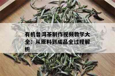 有机普洱茶制作视频教学大全：从原料到成品全过程解析