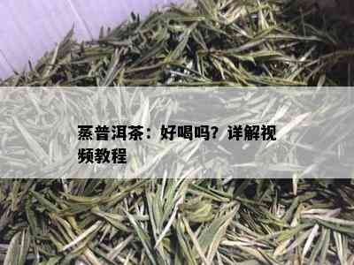 蒸普洱茶：好喝吗？详解视频教程