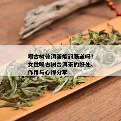 喝古树普洱茶能润肠道吗？女性喝古树普洱茶的好处、作用与心得分享