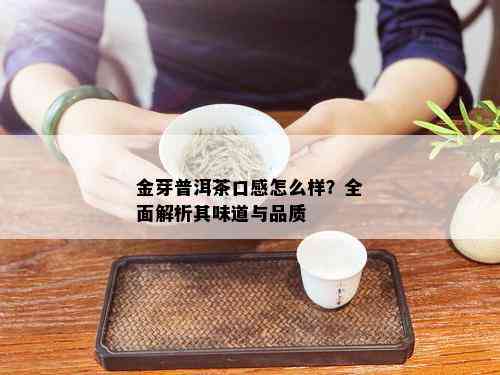 金芽普洱茶口感怎么样？全面解析其味道与品质