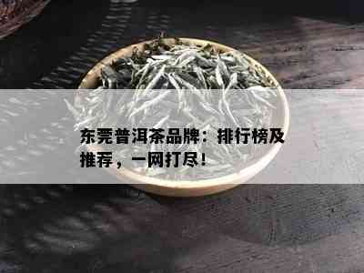 东莞普洱茶品牌：排行榜及推荐，一网打尽！