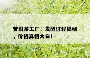 普洱茶工厂：发酵过程揭秘，价格真相大白！