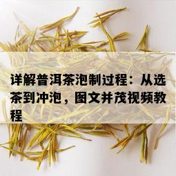 详解普洱茶泡制过程：从选茶到冲泡，图文并茂视频教程