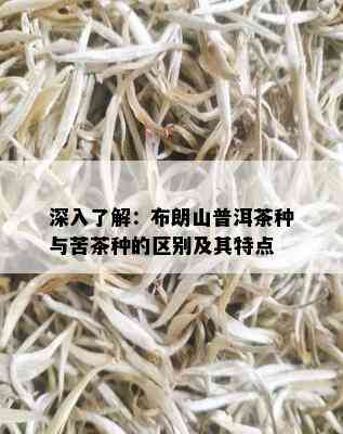 深入了解：布朗山普洱茶种与苦茶种的区别及其特点