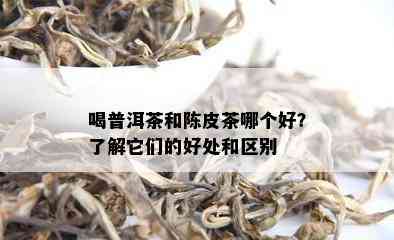 喝普洱茶和陈皮茶哪个好？了解它们的好处和区别