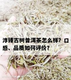 淳臻古树普洱茶怎么样？口感、品质如何评价？