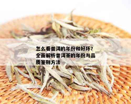 怎么看普洱的年份和好坏？全面解析普洱茶的年份与品质鉴别方法