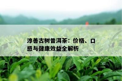 淳善古树普洱茶：价格、口感与健康效益全解析