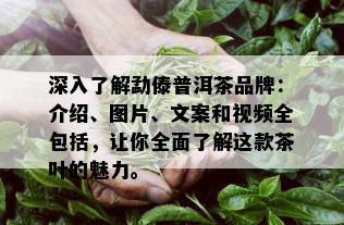 深入了解勐傣普洱茶品牌：介绍、图片、文案和视频全包括，让你全面了解这款茶叶的魅力。