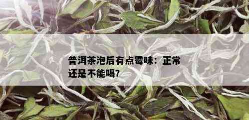 普洱茶泡后有点霉味：正常还是不能喝？