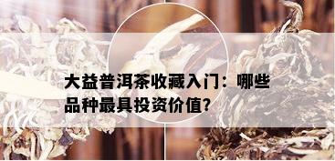 大益普洱茶收藏入门：哪些品种更具投资价值？