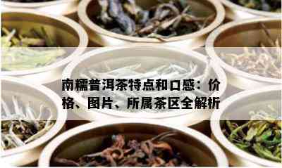 南糯普洱茶特点和口感：价格、图片、所属茶区全解析