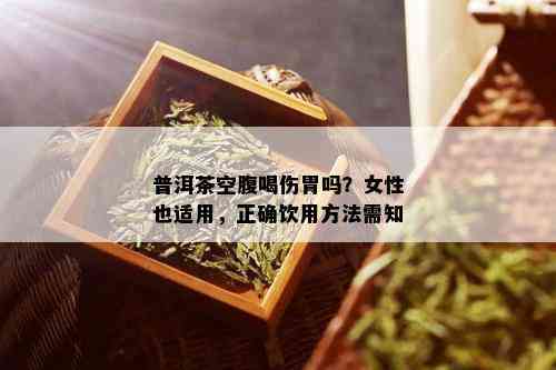 普洱茶空腹喝伤胃吗？女性也适用，正确饮用方法需知