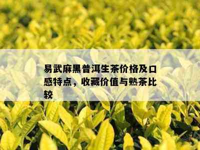 易武麻黑普洱生茶价格及口感特点，收藏价值与熟茶比较