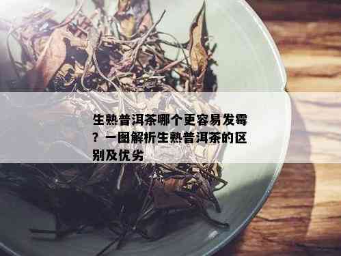 生熟普洱茶哪个更容易发霉？一图解析生熟普洱茶的区别及优劣