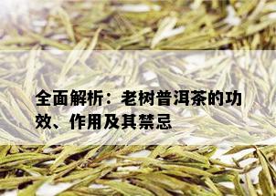 全面解析：老树普洱茶的功效、作用及其禁忌