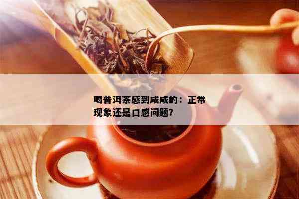 喝普洱茶感到咸咸的：正常现象还是口感问题？