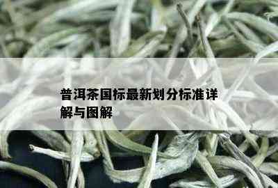 普洱茶国标最新划分标准详解与图解