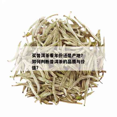 买普洱茶看年份还是产地？如何判断普洱茶的品质与价值？