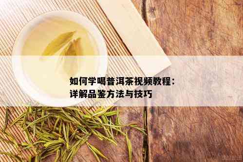 如何学喝普洱茶视频教程：详解品鉴方法与技巧