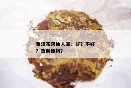 普洱茶浇仙人掌：好？不好？效果如何？