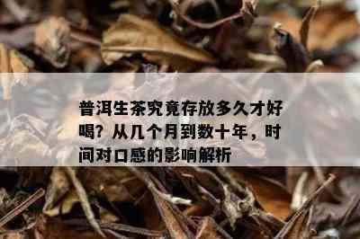 普洱生茶究竟存放多久才好喝？从几个月到数十年，时间对口感的影响解析