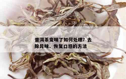 普洱茶变味了如何处理？去除异味、恢复口感的方法