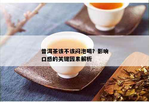 普洱茶该不该闷泡喝？影响口感的关键因素解析