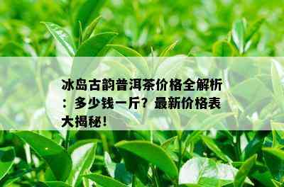 冰岛古韵普洱茶价格全解析：多少钱一斤？最新价格表大揭秘！