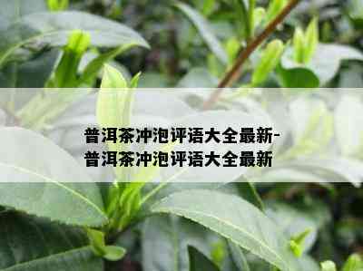 普洱茶冲泡评语大全最新-普洱茶冲泡评语大全最新