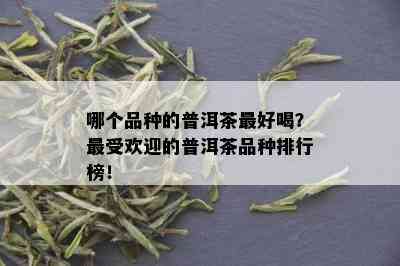 哪个品种的普洱茶更好喝？更受欢迎的普洱茶品种排行榜！