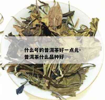 什么号的普洱茶好一点儿-普洱茶什么品种好