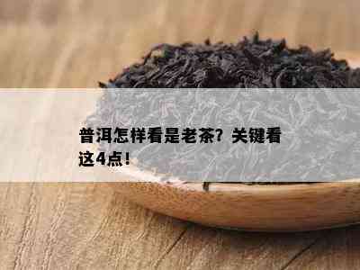 普洱怎样看是老茶？关键看这4点！