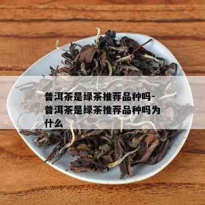 普洱茶是绿茶推荐品种吗-普洱茶是绿茶推荐品种吗为什么